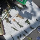 팝스토어라페스타점 | 4月 상해, 7박 8일中 첫째 날 - 왕복 30시간 경유, 푸저우 창러 공항, 화웨이, 팝마트