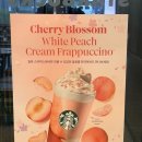 블로썸코리아 | 스타벅스 체리블라썸 백도 크림 프라푸치노 후기