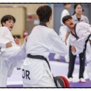 금메달 태권도 이미지