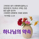 교회신문 ＞ 제 1182호 교단소식. 2023 신년사 - 2023, 새해를 맞아 예수중심교단 목회자들의 신년사를 듣는다. 히11:38 이미지