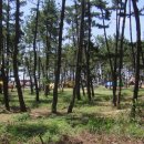 세이브존앞 이미지