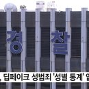 [단독] 경찰, 딥페이크 성범죄 '성별 통계' 없어 이미지