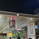 반지제3경로당 | [종로3가커플링추천] 더문쥬얼리 결혼반지 착용 후기