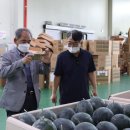 정읍단풍미인조합공동사업법인 이미지