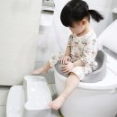 버드시아 이미지