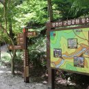 자르당