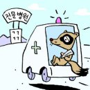 너구리 이미지