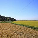 부량농장 이미지