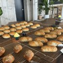 대우정식당 이미지