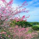 활천초등학교 이미지