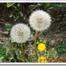 행운여인숙 이미지