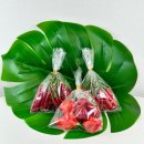 푸드월드 | 매운음식 쥐똥고추 하바네로 베트남 고추 월드푸드 솔직후기