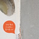 트라움빌 이미지