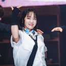 홀릭스 티스토리
