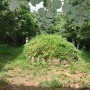 이규령 묘비문 이미지