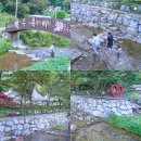 장흥청과 | 경기도 계곡 추천 서울 근교 물놀이 여주 주록리계곡