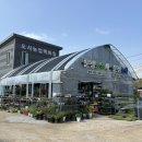 삽다리농원 이미지