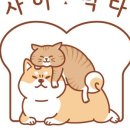 사이먹다 네이버블로그