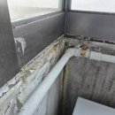 [공지] [화정 전문가 노트] 별빛마을 달빛마을 베란다 페인트 벗겨짐, 인테리어 업체가 거절하는 진짜 이유
