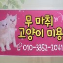 도그에이드애견샵 티스토리