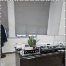 으뜸세무법인 - 서초구 서초대로53길 7 | 으뜸세무법인