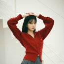 아름다운 이미지