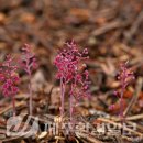 한라전설(주) 이미지