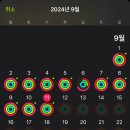 데카스론 이미지