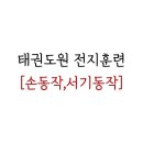 금빛 호랑이 태권도 이미지