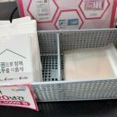 공원로또복권 이미지