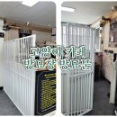 캣츠앤몬스터 이미지