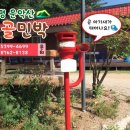 시골민박 이미지