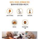 댕댕케어 이미지