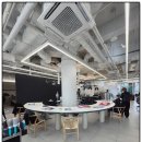 앤디살롱 | 정자역 미용실 요미앤디에서 예쁘게 변신한 첫 방문 후기