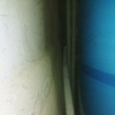 대청호수로 이미지