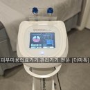 셀트기기 네이버블로그