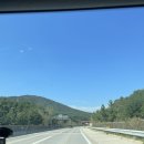 바우목장 이미지