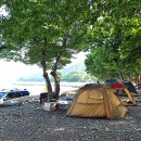 정치망민박 이미지