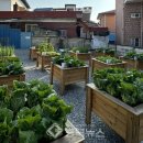 조성농장 이미지