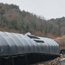 나무야 나무야 이미지