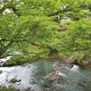 데미샘빌리지펜션1 이미지