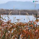 원주굽이길 10코스 천년사지길 이미지