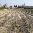 대지부동산중개사무소 이미지