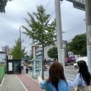 신시로16길1-26 | 번개⚡️구미
