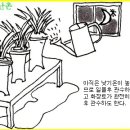 한국춘란의 초기 가을철 기본관리/02(505) 이미지