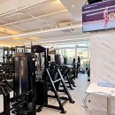 팀 비스트 이미지