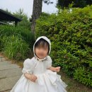 돌드레스 대여 드레스로렌에서 하길 잘했다