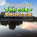 파라다이스스파 이미지