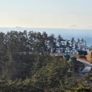 솔향기길야영장 이미지