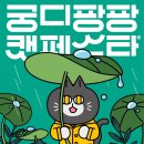 이츠캣